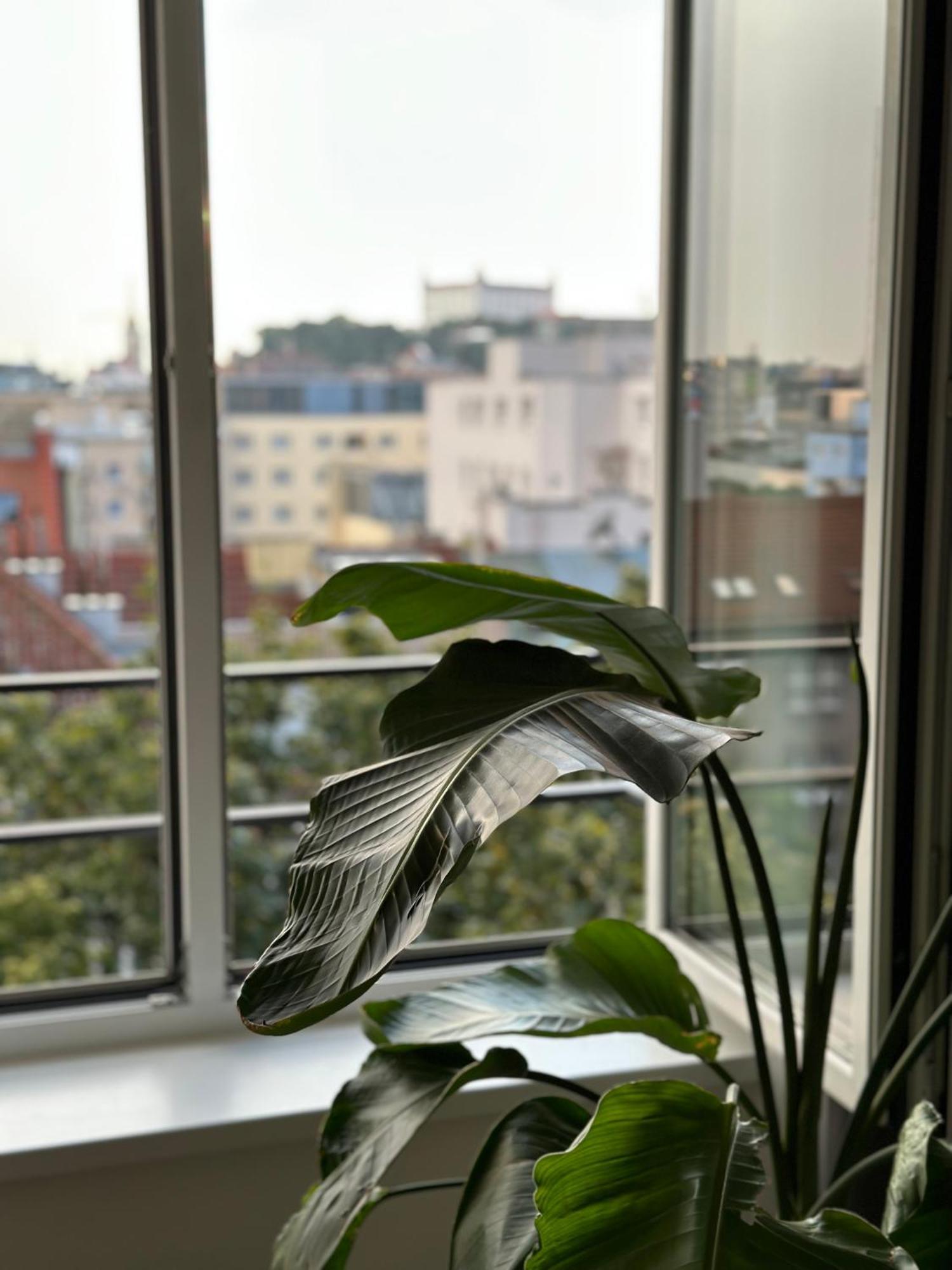 Urban Zenhouse No.2 - Breakfast Included Apartment บราติสลาวา ภายนอก รูปภาพ